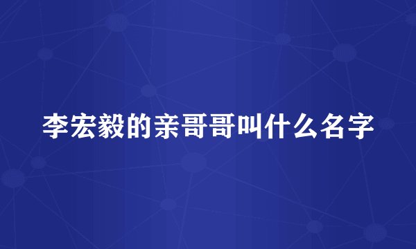 李宏毅的亲哥哥叫什么名字
