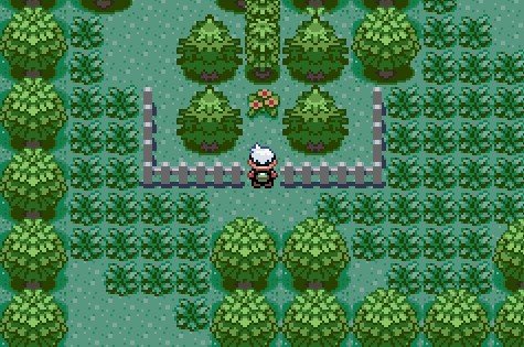 口袋妖怪 绿宝石386汉化萌版的天元森林内的左下角怎么走？（下面有图）