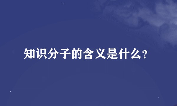 知识分子的含义是什么？