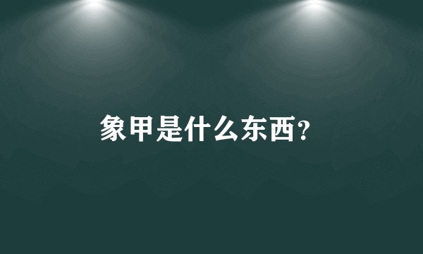 象甲是什么东西？