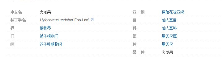 火龙果是什么植物的果实