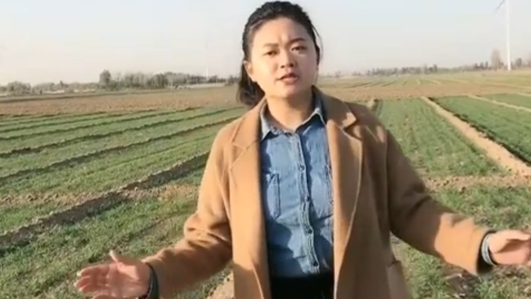 多年以后是什么歌曲的歌词？