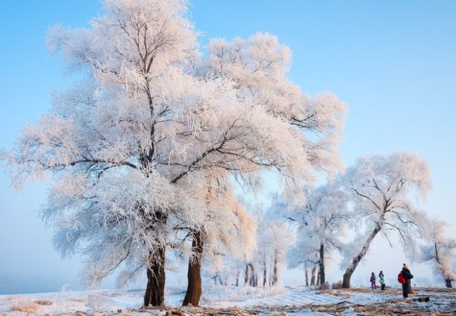 雪国圣子讲的什么故事