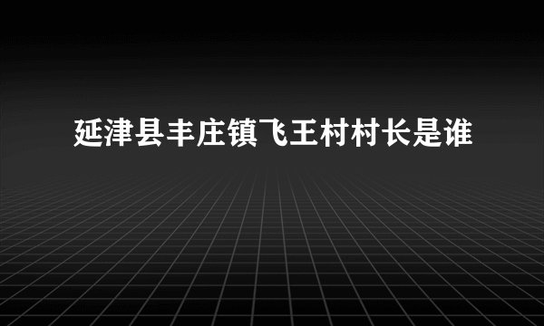 延津县丰庄镇飞王村村长是谁