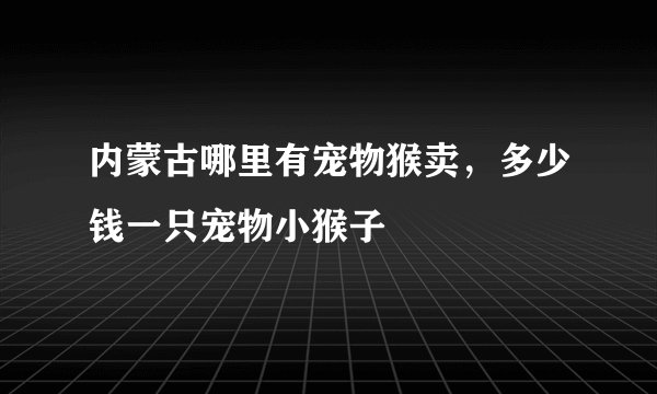 内蒙古哪里有宠物猴卖，多少钱一只宠物小猴子