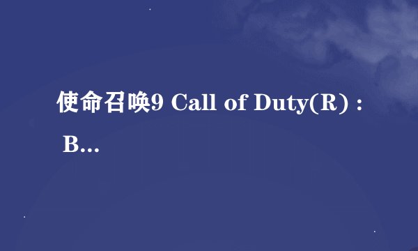 使命召唤9 Call of Duty(R) : Black Ops2已停止工作