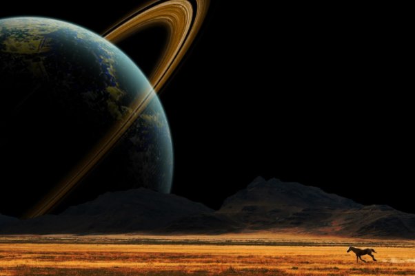 何以见得137是一个神奇的数字，究竟代表了什么？