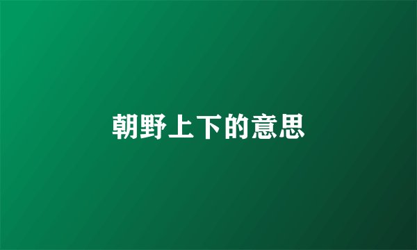 朝野上下的意思