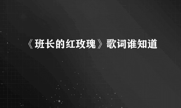 《班长的红玫瑰》歌词谁知道