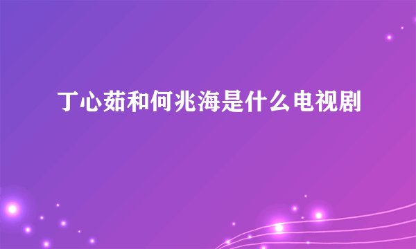 丁心茹和何兆海是什么电视剧