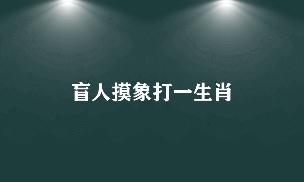 盲人摸象打一生肖