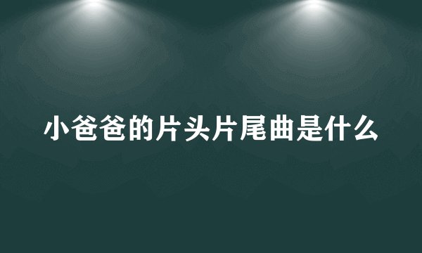 小爸爸的片头片尾曲是什么
