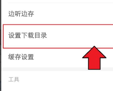 苹果手机网易云下载歌曲失败，为什么啊？
