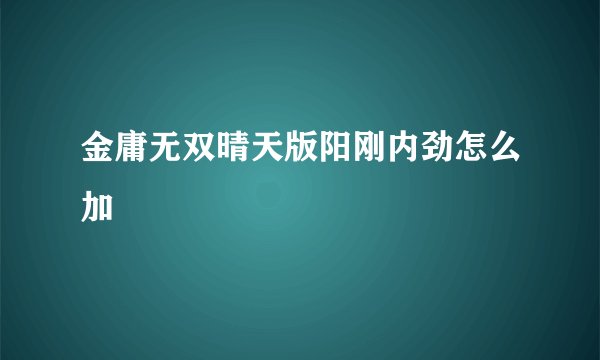 金庸无双晴天版阳刚内劲怎么加