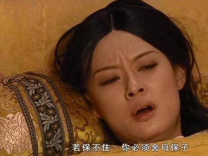甄嬛什么时候生双胞胎的