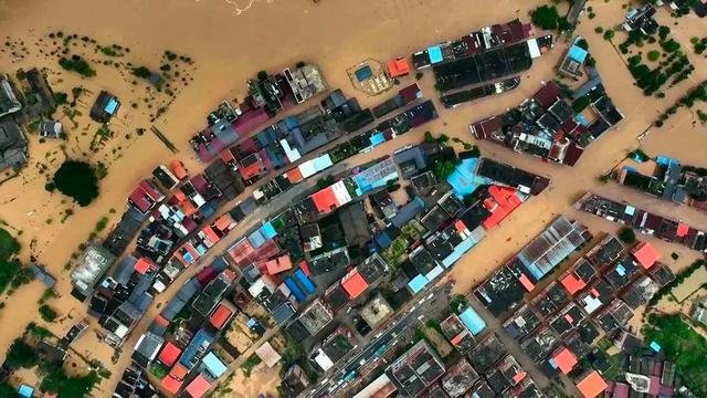养殖场被暴雨淹没：“二师兄”组团游泳自救！这场暴雨带来了影响有多大？