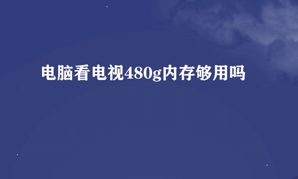 电脑看电视480g内存够用吗