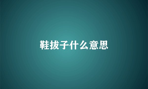 鞋拔子什么意思