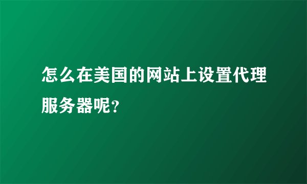 怎么在美国的网站上设置代理服务器呢?