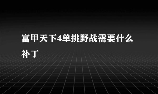 富甲天下4单挑野战需要什么补丁