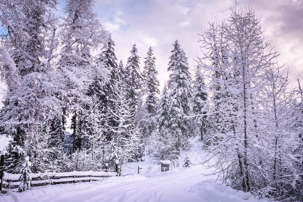 2023年春节中小学放假时间表是怎样的呢？