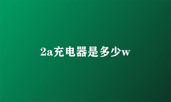 2a充电器是多少w