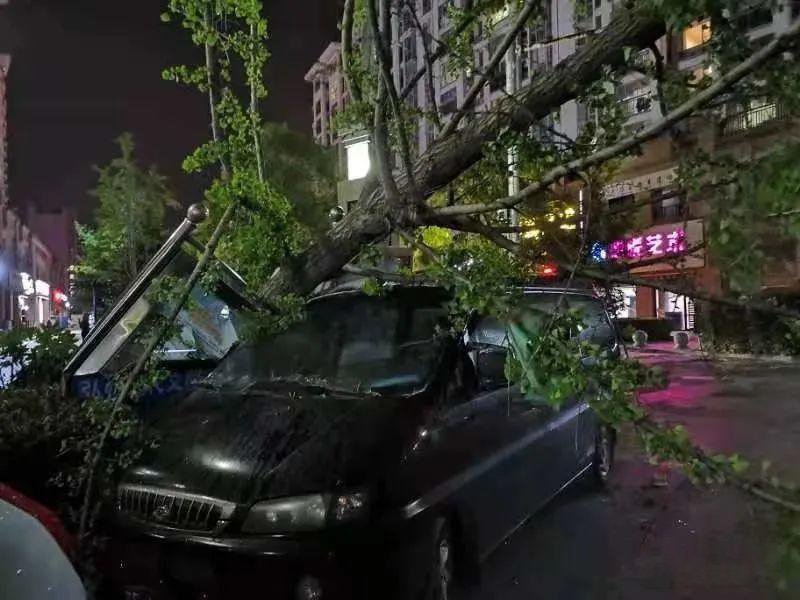 江苏大风吹动飞机原地转圈，这刮的是多少级风？