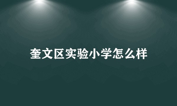 奎文区实验小学怎么样