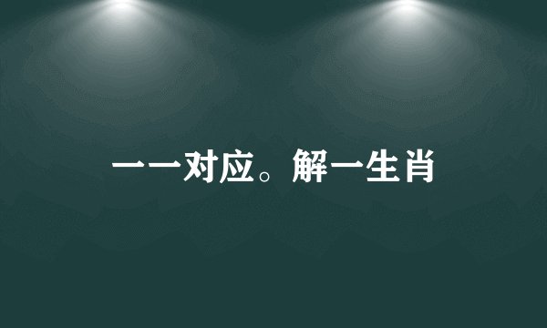 一一对应。解一生肖