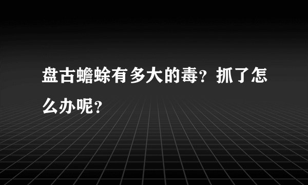 盘古蟾蜍有多大的毒？抓了怎么办呢？