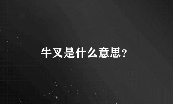 牛叉是什么意思？