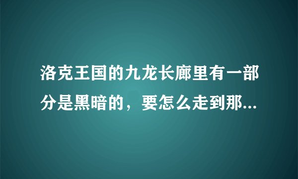 洛克王国的九龙长廊里有一部分是黑暗的，要怎么走到那里面去？