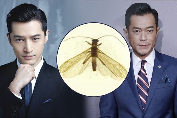 生态学刊以胡歌古天乐名字命名新物种，此举的原因是什么？