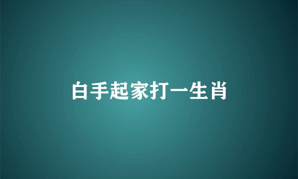 白手起家打一生肖