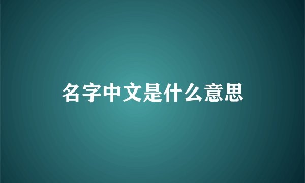 名字中文是什么意思