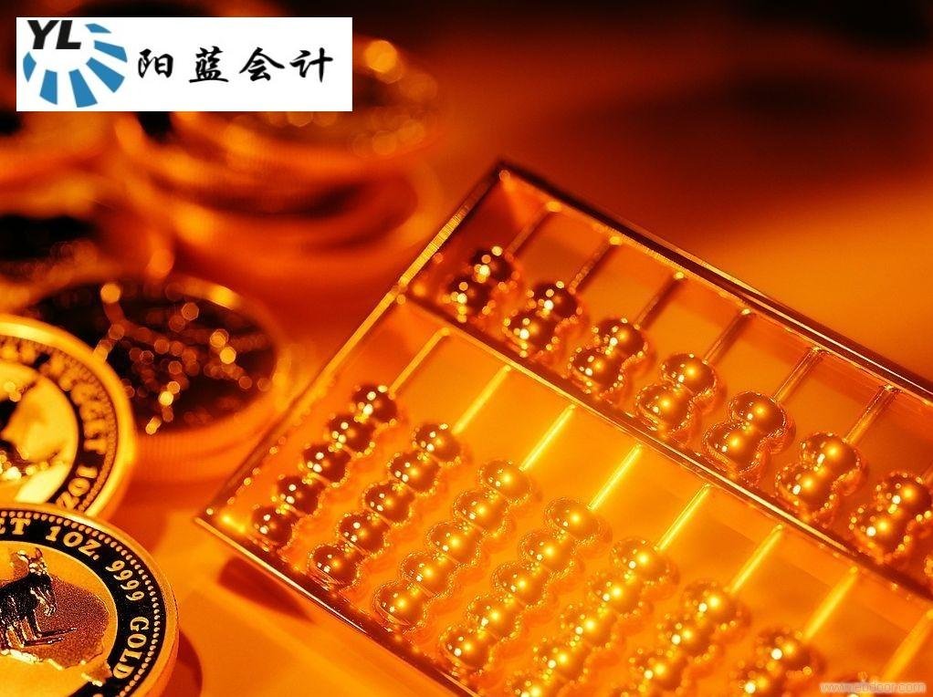 验资垫资开股指的行业发展前景