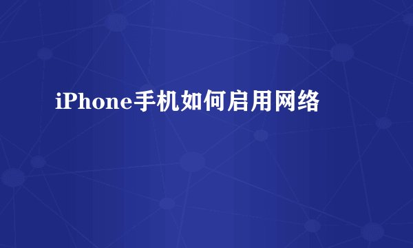 iPhone手机如何启用网络
