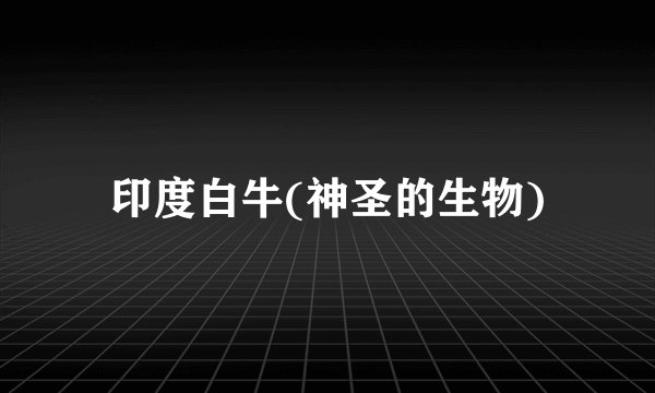 印度白牛(神圣的生物)