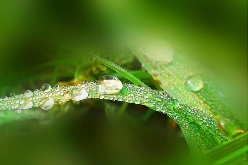 白露的美好寓意