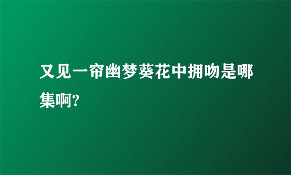 又见一帘幽梦葵花中拥吻是哪集啊?