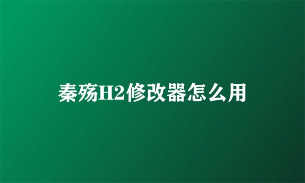 秦殇H2修改器怎么用