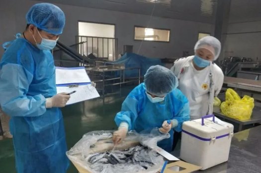 冷冻海鲜外包装分离到新冠活病毒,这意味着什么?