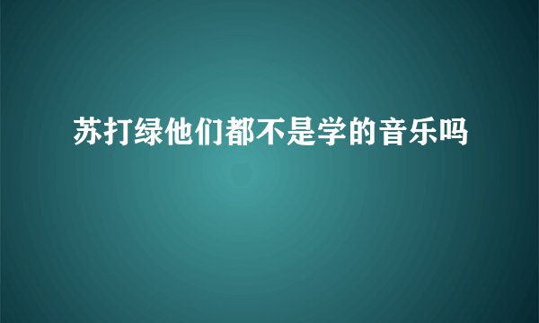 苏打绿他们都不是学的音乐吗