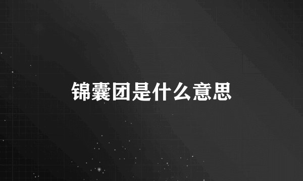 锦囊团是什么意思