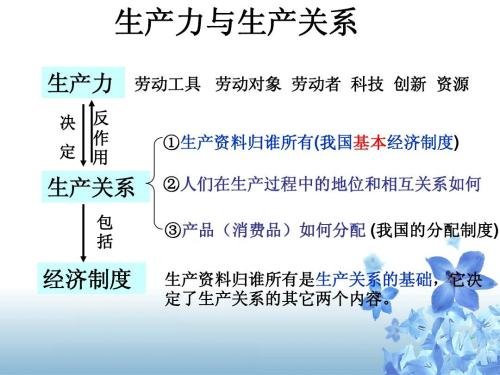 我国的基本经济制度是什么？