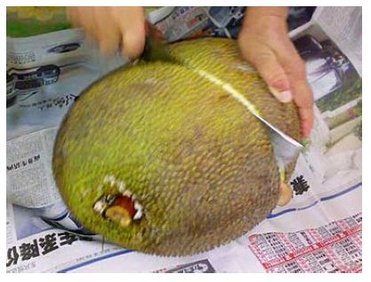 菠萝蜜通道入口在哪里