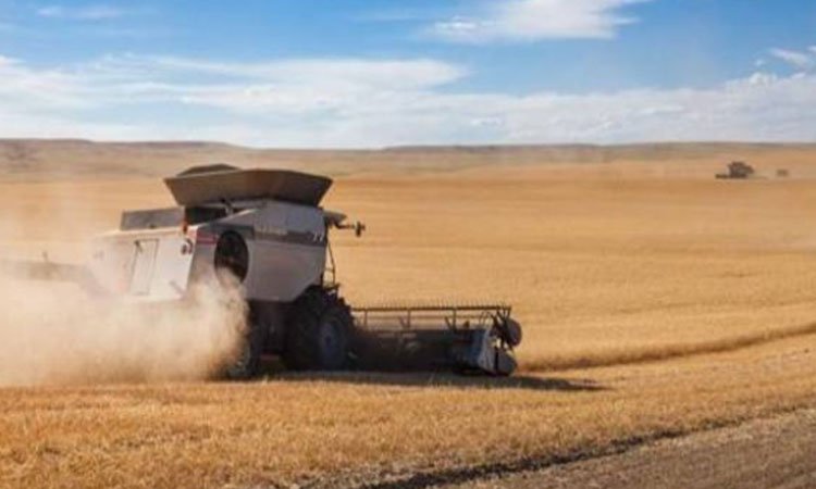 吉林一粮库玉米存在虫眼问题，相关负责人会被如何处置？