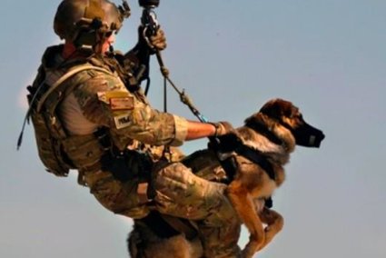 唐朝武则天时军曹是什么级别？