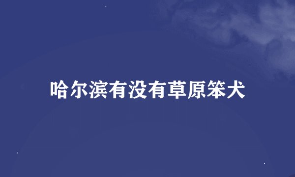 哈尔滨有没有草原笨犬