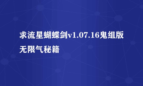 求流星蝴蝶剑v1.07.16鬼组版无限气秘籍